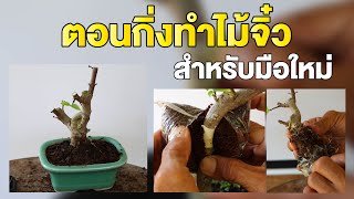 Bonsai Station [บอนไซมือใหม่ป้ายแดง] EP.27 ตอนกิ่งทำไม้จิ๋ว สำหรับมือใหม่