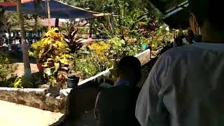 Ayah.... Betapa ku agungkan  Betapa kuharapkan