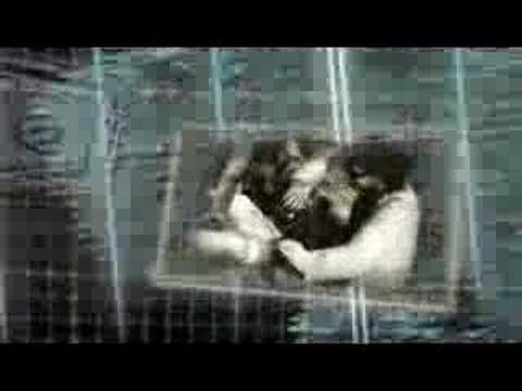 pursuit-force-extreme-justice-trailer