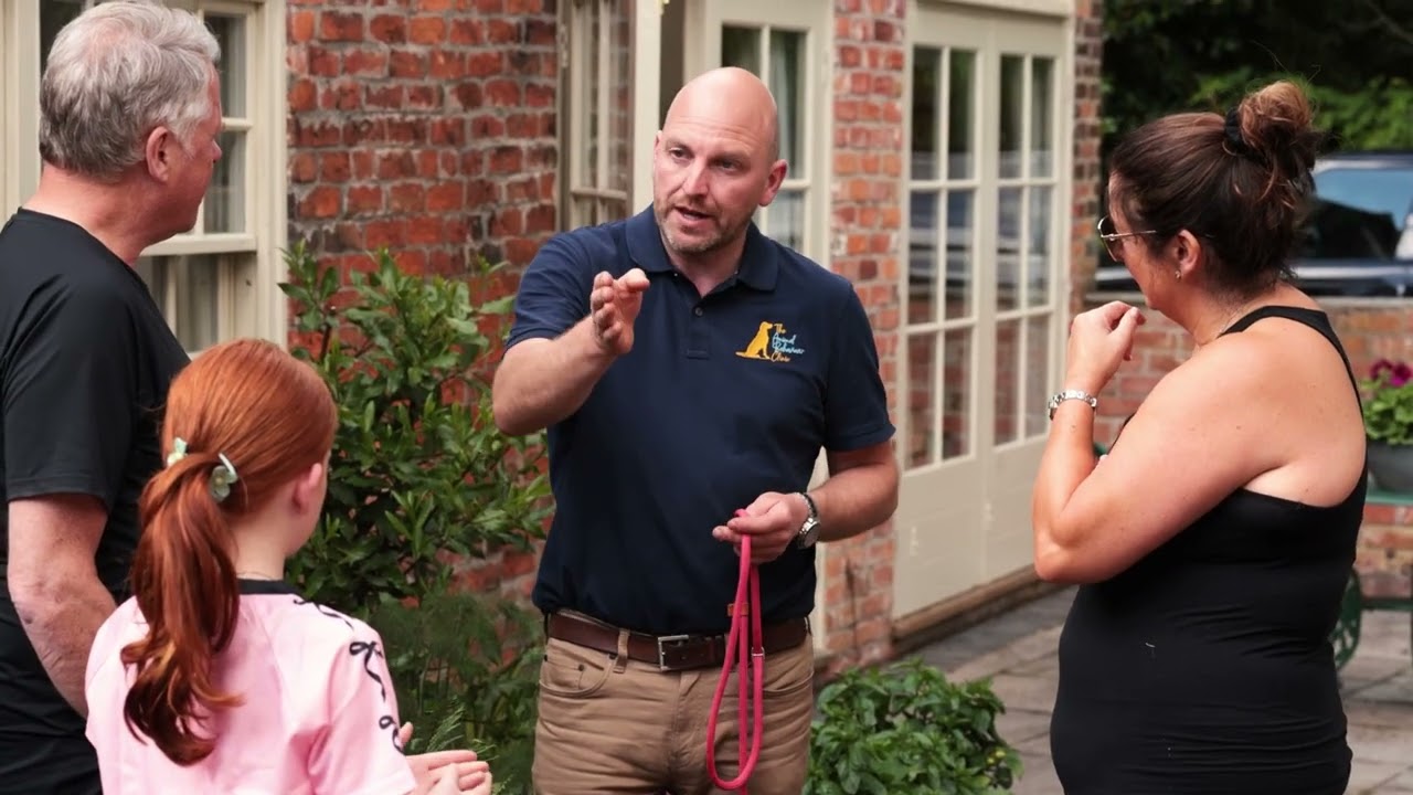 Dog ABC Residential Training