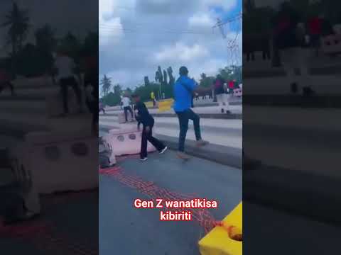 Maandamano Genz Tanzania Maandamano Mo29