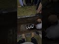 سوره ملک را هر شب تلاوت کن  ترند الاکرام  دحمان شعر البرزخ کلیپ نزهه عاشقانه