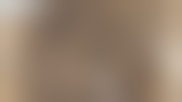 Part 2 mole gopher damage solution