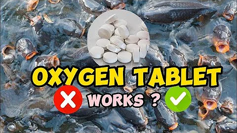 Oxygen Tablets for Dissolved Oxygen | Do They Really Work ?