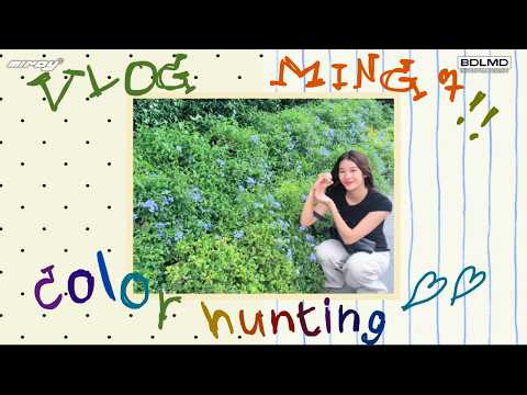 [ (VLOG) MADE BY MINGMING MINDY ] - หมิงๆ color hunting