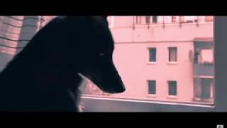 Alles was sie will - Kontra K - Lyrics