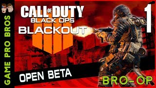 Call of Duty Black Ops 4 - COD BLOPS 4 Blackout Royale with Cheese