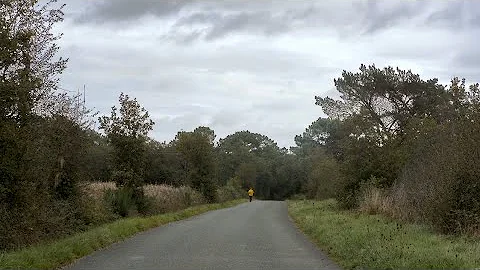 L' Autostoppeuse  -  Suzanne Fischer