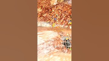 Unblocking Drain Trash Removal Restores Flow After Heavy Rains #drain #unclog  #culvert #shorts #2