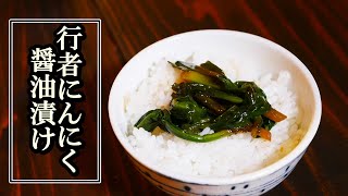 絶品山菜行者にんにくの醤油漬けを作った