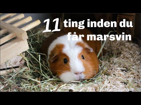 Video: 10 ting at overveje, før du køber et nyt hjem i 2014