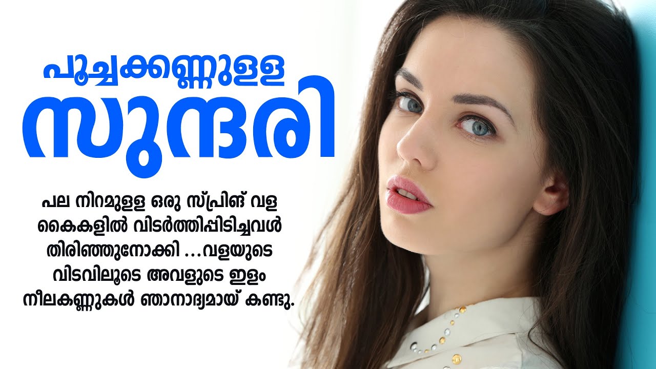 പൂച്ചക്കണ്ണുളള സുന്ദരി  SHAHUL MALAYIL MALAYALAM STORY