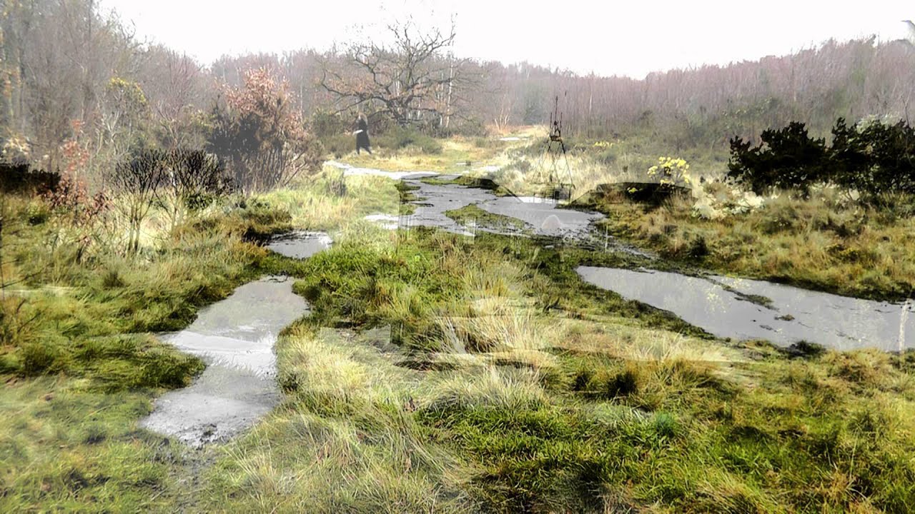 Toxic Moth - Kali Myst