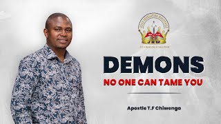 Demons  (No One Can Tame You)  |  Apostle T.F Chiwenga  |  Sunday Service  |  21 April 2024