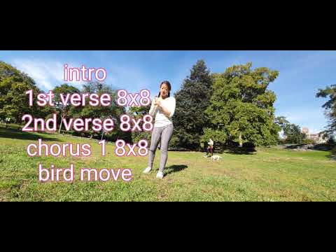 UFO choreography break down ピンクレディ ダンス 振付 コピー　 練習用 mirror version  dance Tutorial