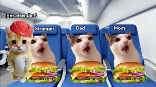 CAT MEMES Road Trip Airplane