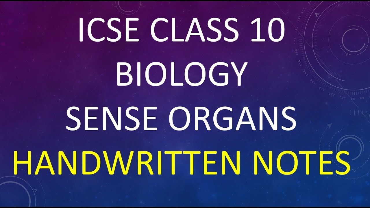 ( Sense Organs)ICSE class 10 Biology Handwritten notes - YouTube