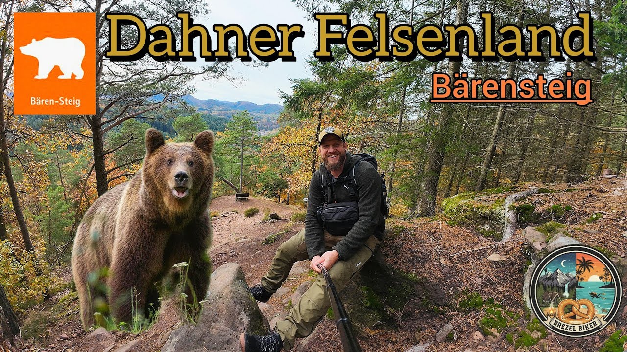 Bärensteig Wanderung | Verlaufen zwischen Felsen und Ruinen | Pfälzerwald 🍂🍁