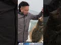 Halibut Catches Most Memorable Ones I Know You Have Some Too