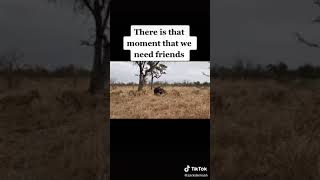 VID 20210922 WA0002