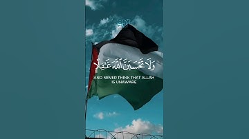 اللهم انصر اخواننا المستضعفين في #فلسطين #غزة #تلاوات #gaza #quran #اجر_لي_ولك