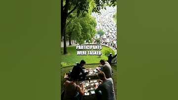 The Influence of Environment on Cognitive Performance