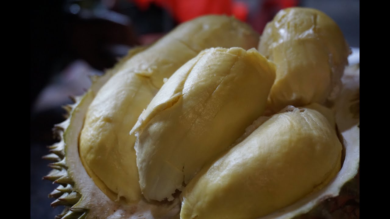 DURIAN MEDAN, MANGGA BESAR, JAKARTA PUSAT / KING OF FRUIT - YouTube