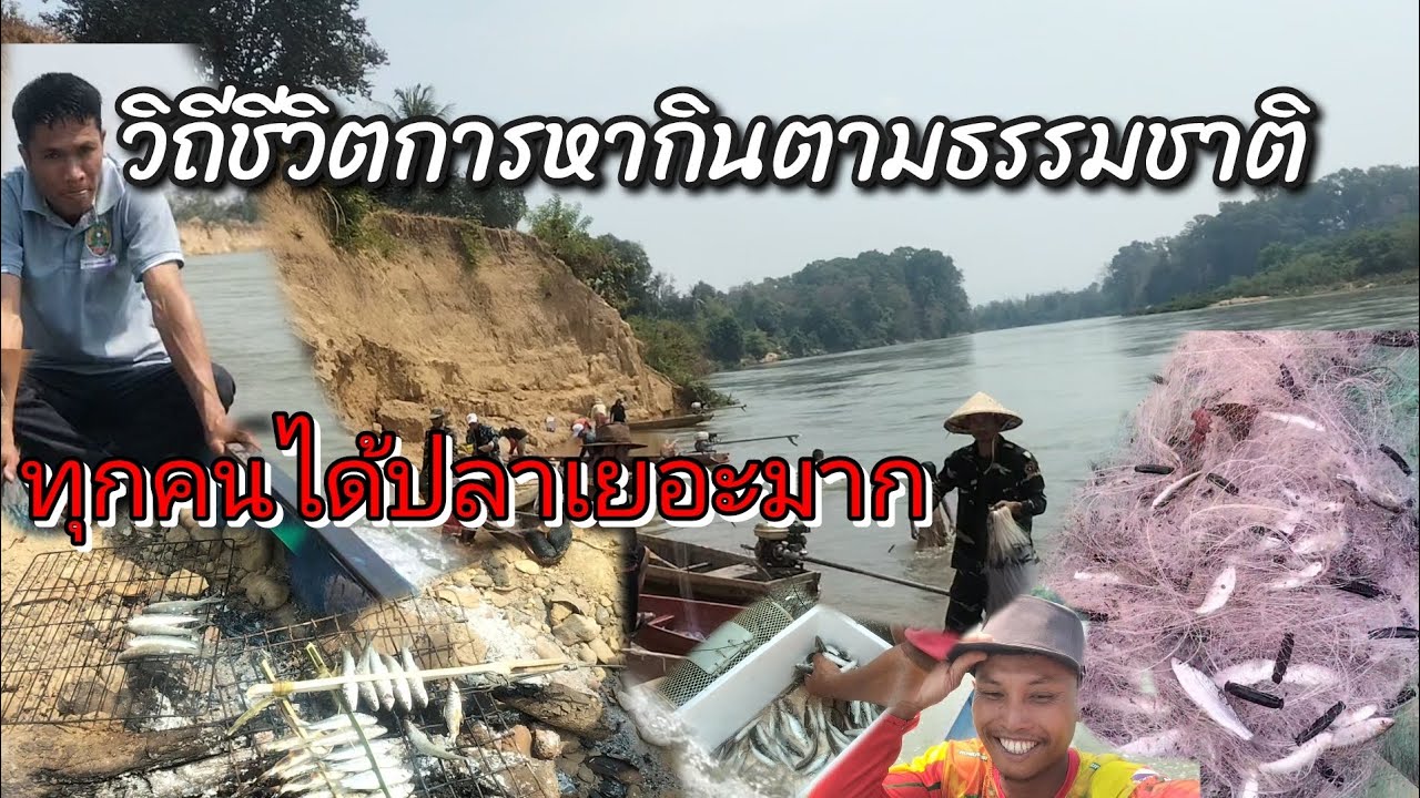 หาปลาตามฤดูกาล/ปลาขึ้น/ได้ปลาเยอะมาก