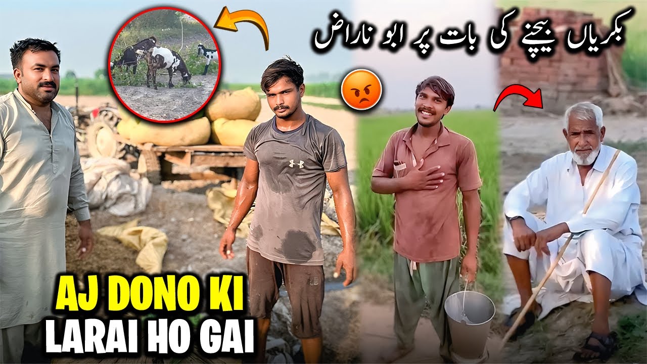 Needi or Jani ki Larai Ho Gai 😢 | بکریاں بیچنے کی بات کرو تو ابو ناراض ہو جاتے ہیں