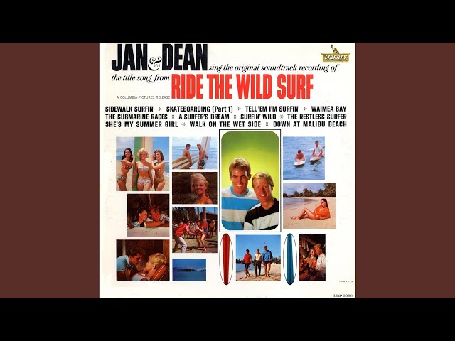 Jan & Dean - Surfin' Wild