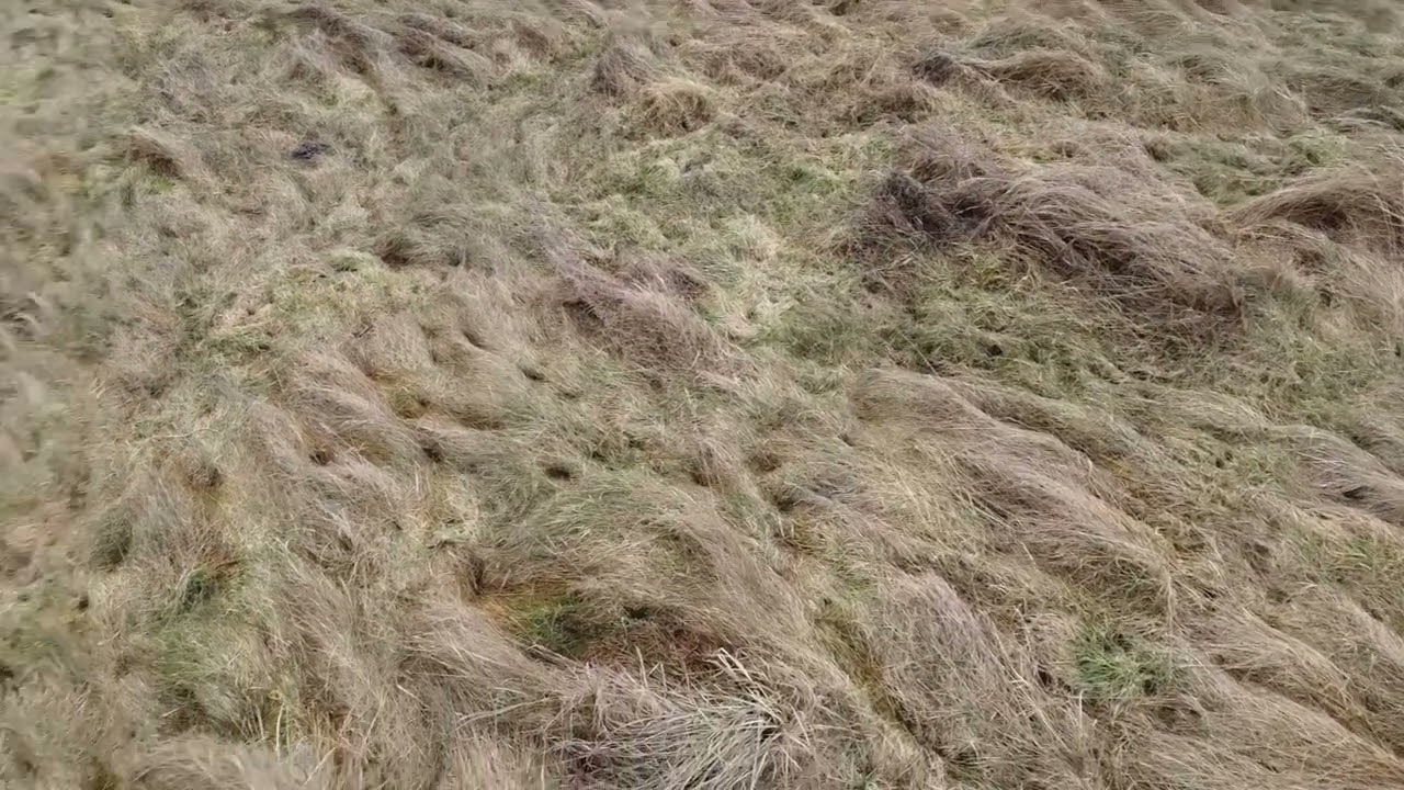 Niedzielny relaks. Polska natura. Zrzuty. Polish nature. Luty 2026