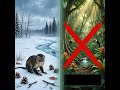 The first primates evolved in the cold, not the tropics