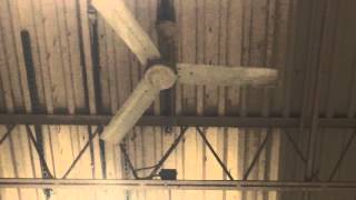 2 Dayton/Marley industrial ceiling fans at Home Depot (back area ...