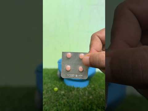 🕊️ Trying to Save My Sick Pigeon With One Small Dose #usaaudience #ukaudience