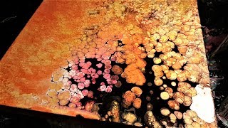 Dump & Swirl Pour - Natural Cells Not For Beginners