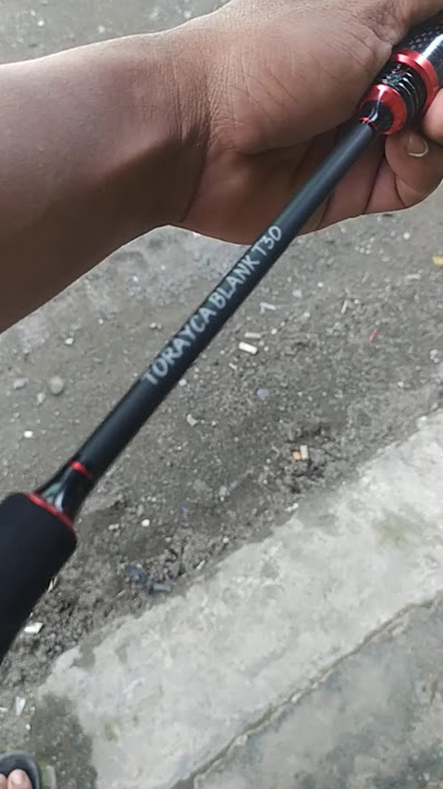 joran elito sablefish #music #fishing
