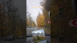 в багрец и в золото одетые леса )#осень #peterburg #2025