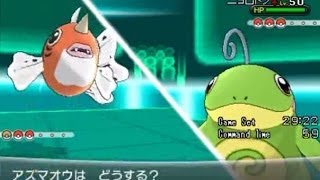 【ポケモンXY実況】　もこう　オワコンの逆襲　part5 【Pokémon XY】