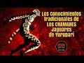Los Conocimientos tradicionales de Los Chamanes Jaguares de Yuruparí (Suscríbete a nuestro canal)