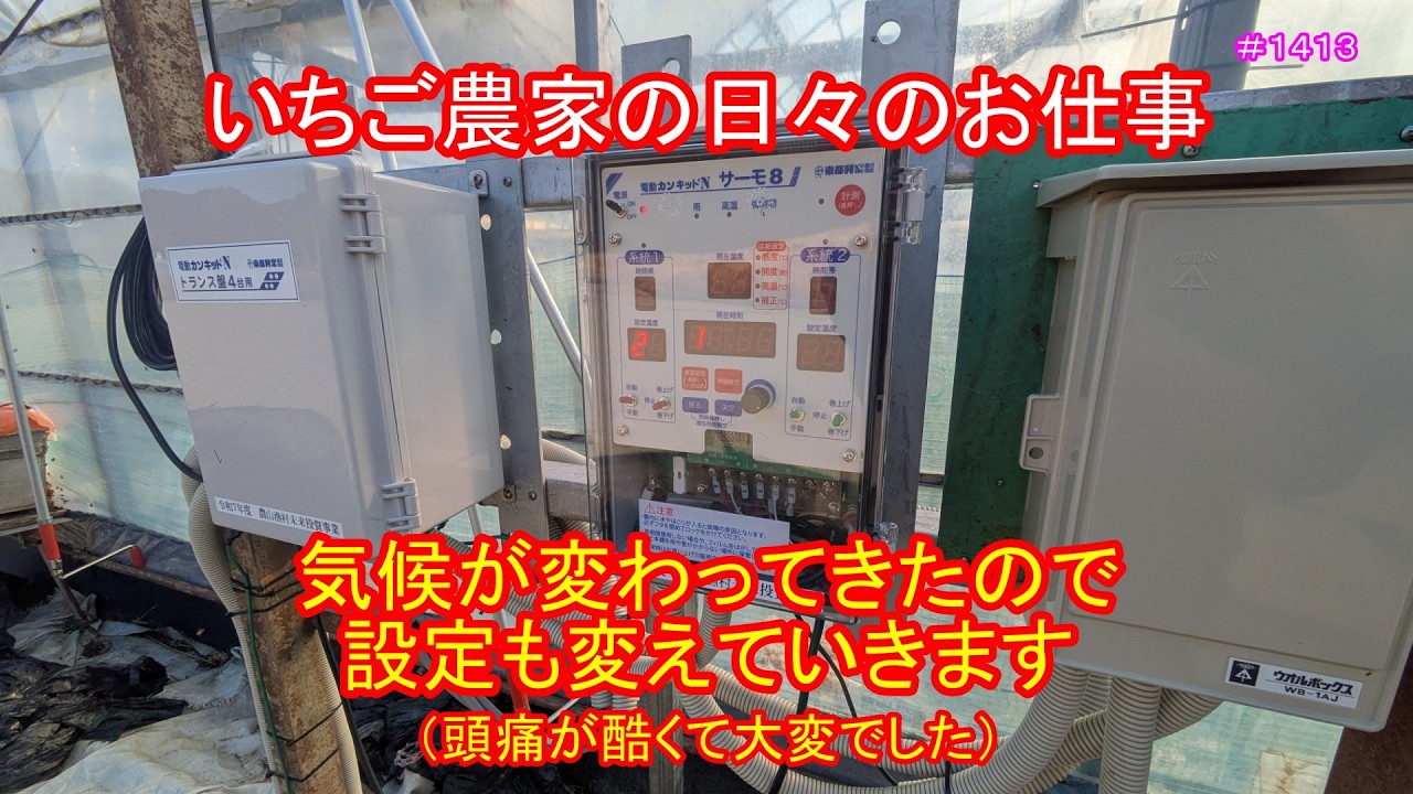 気候が変わってきたので設定も変えていきます（頭痛が酷くて大変でした）　いちご農家の日々のお仕事　＃１４１３