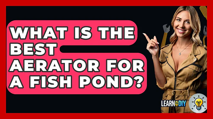 What Is The Best Aerator For A Fish Pond? - LearnToDIY360.com