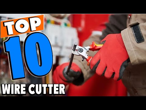 Top 10 Best