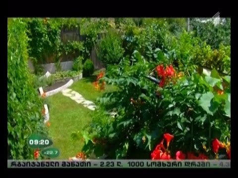 ლანდშაფტის დიზაინი