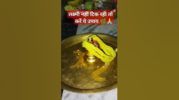 लक्ष्मी नहीं टिक रही तो करें ये उपाय 🌿🙏#pandit_pradeep_ji_mishra #ravish #archana