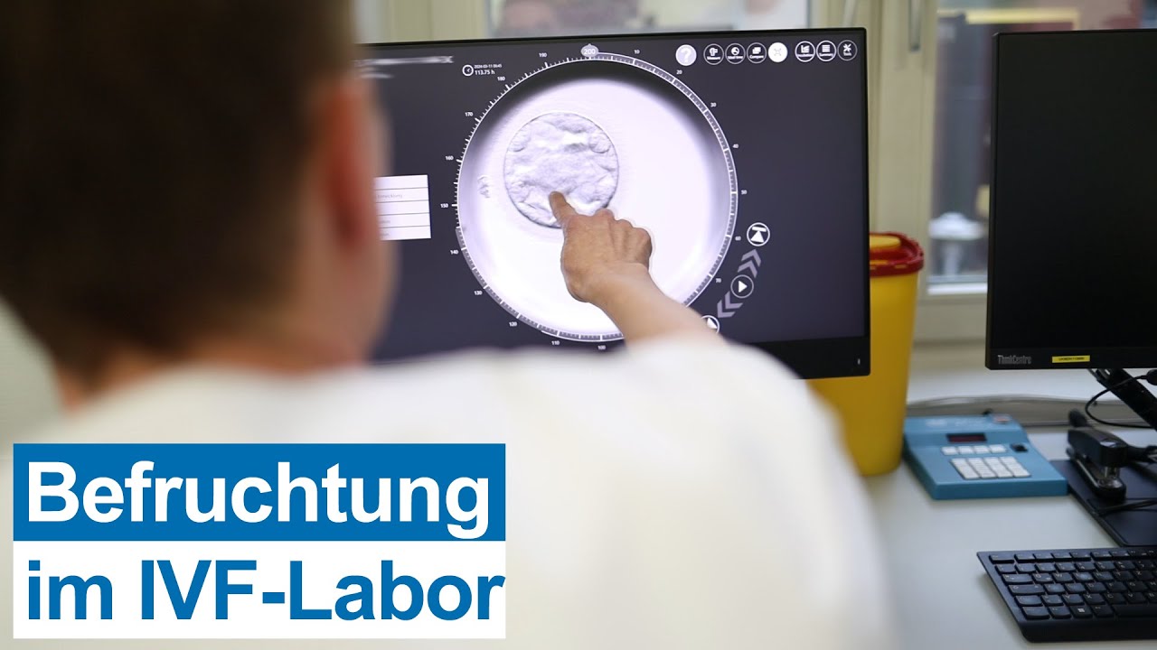 So wird im Labor fr In-vitro-Fertilisation gearbeitet