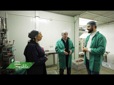 #ფერმა თანამედროვე სტანდარტებით შექმნილი ჩაის საწარმო საგურამოში