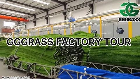 A TOUR AROUND THE GGGRASS FACTORY