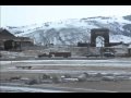 Why Yellowstone Bison Do Not Belong On Ted Turners Ranch Why Yellowstone Bison Do Not Belong On Ted Turners Ranch