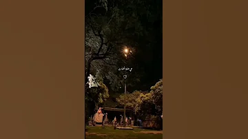 حالات واتس مش حلوة وبس وديع مراد شبيه جورج وسوف 