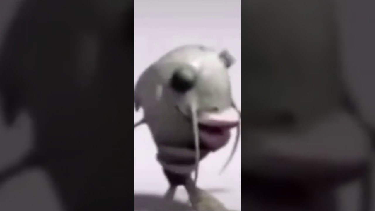  Cursed  Dancing Fish  Video Meme  YouTube